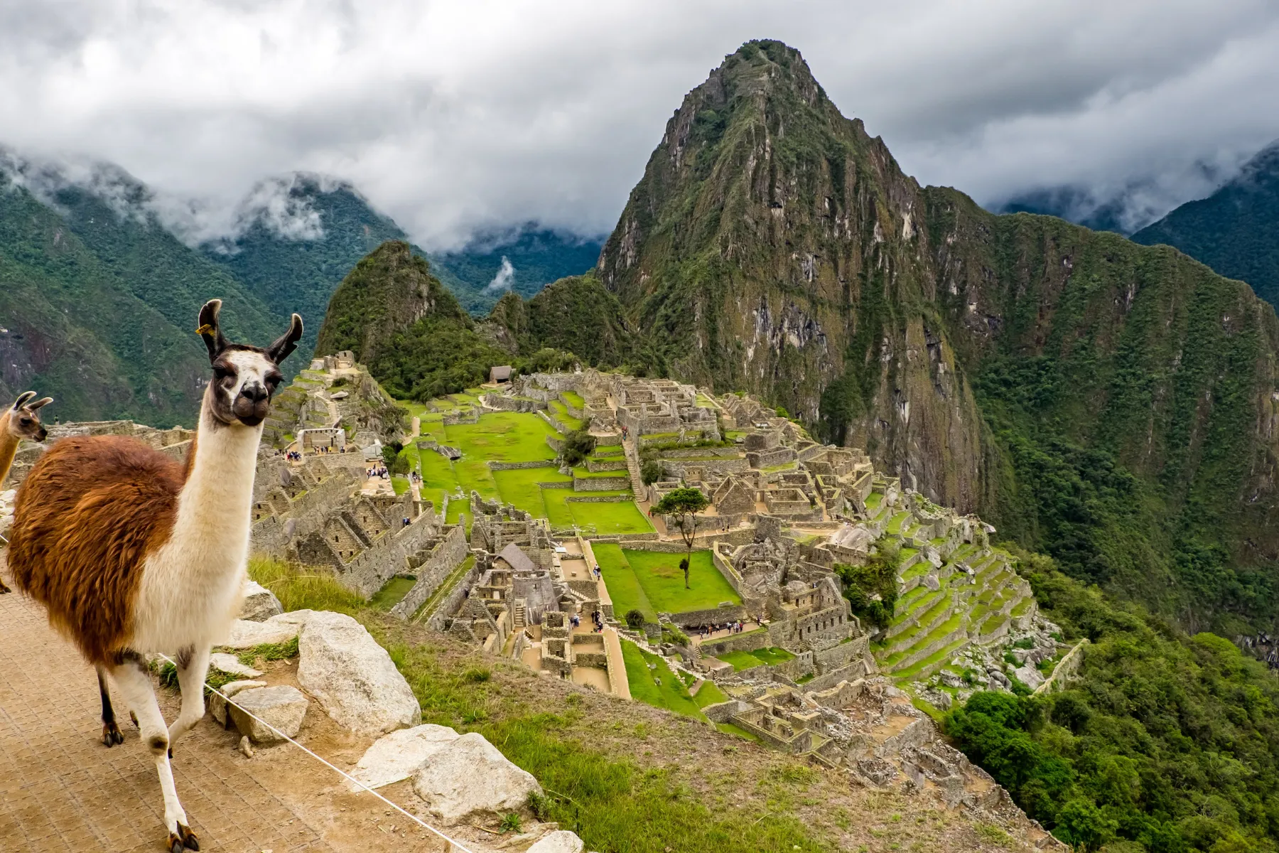 Perú conexión Inca travel experience